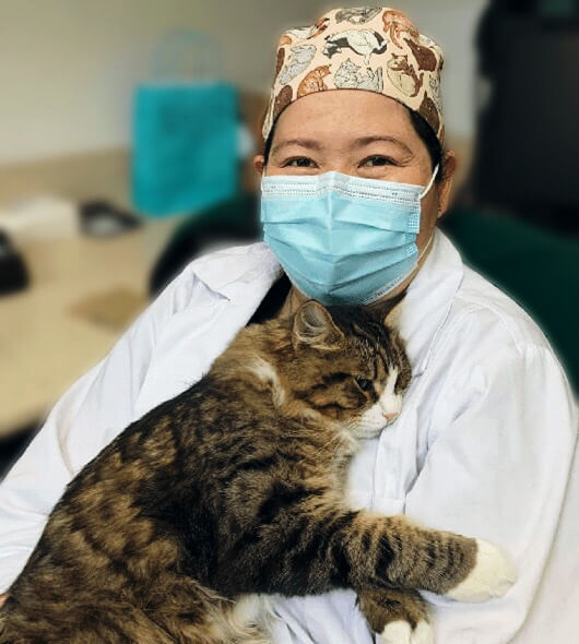 Dr. Priscilla Shimura